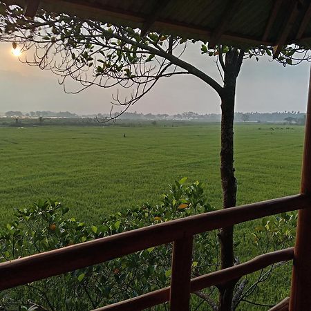 Lake Side View Cabana Tissamaharama Luaran gambar