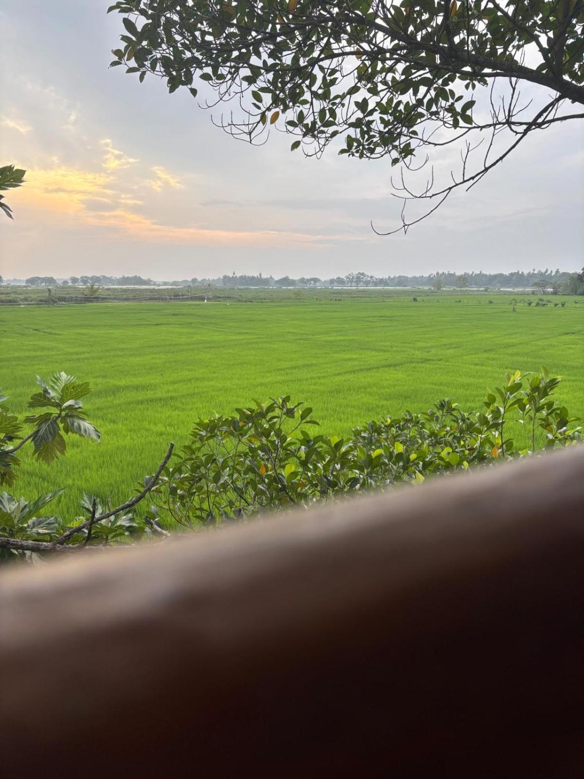 Lake Side View Cabana Tissamaharama Bilik gambar