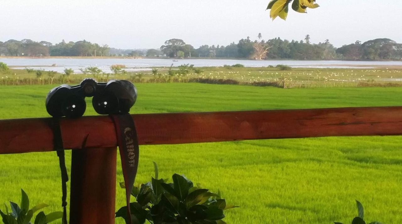 Lake Side View Cabana Tissamaharama Luaran gambar